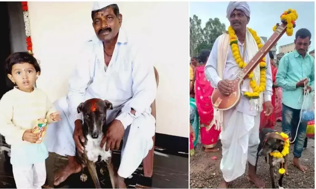 Lost Dog Returns Home After Travelling 250 km to Karnataka's Belagavi2