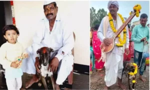 Lost Dog Returns Home After Travelling 250 km to Karnataka's Belagavi2