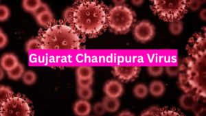 Maharashtra on alert after Chandipura outbreak in Gujarat