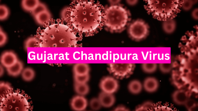 Maharashtra on alert after Chandipura outbreak in Gujarat