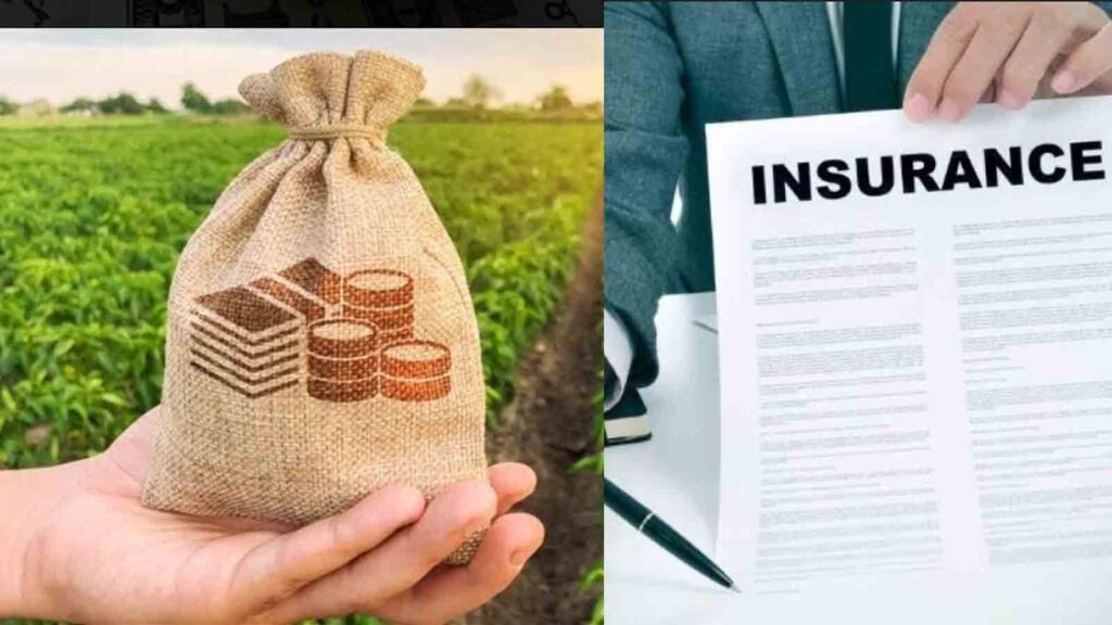 Navigating Tax Exemptions Top 9 Income Types That Won't Cost You a Rupee in Taxes