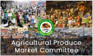 Pune Market Committee Chairman’s Signature Authority Dispute Returns To Secretary’s Court Amidst Board Conflicts