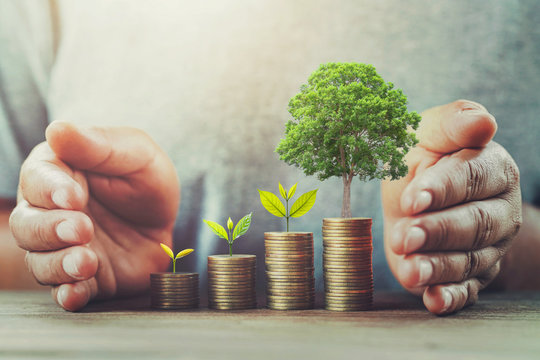 Discover the Best Performing Small Cap Mutual Funds for High Growth Potential