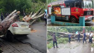 Tree Falls on Parked Car in Pimple Saudagar; No Injuries Reported