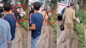 Video Shimla Tourist Dispute Turns Violent, One Thrown Down Cliff