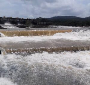 Pune District Dams Receive Promising Rainfall Boost