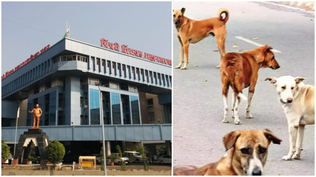PCMC forms dedicated anti-rabies squad to achieve rabies-free city by 2030