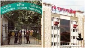 NGT Takes Action On Pune's Garbage Burning Issue, Orders Monthly Reviews and Public Updates
