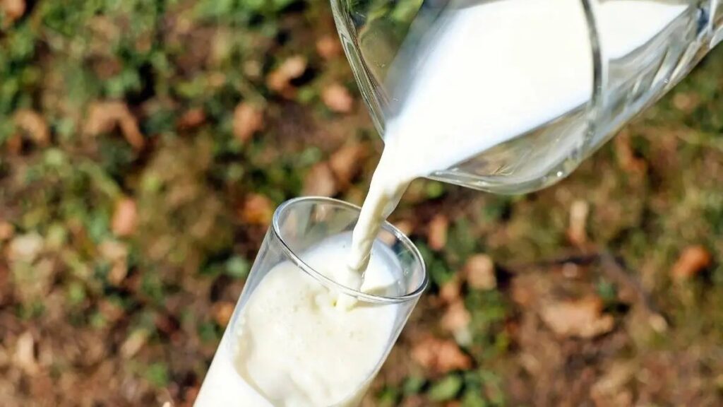 Another Blow To Consumers, Cow Milk Price Hiked In Pune