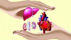 Pune: 49 Year Old Brain-Dead Engineer Saves Five Lives, Donates Heart, Kidneys, Corneas