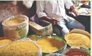 Maharashtra: Pulses Prices Drop Due To Increased Production, Further Decline Expected