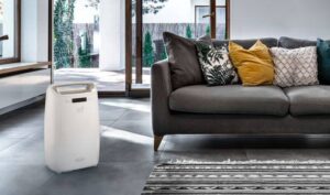 Humidity Control: Essential Tips for a Dry and Cozy Home During Monsoon 