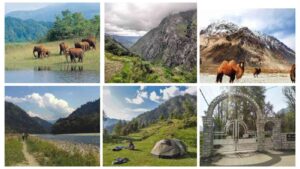 A Trekker's Paradise: India's Top National Parks to Explore on Foot