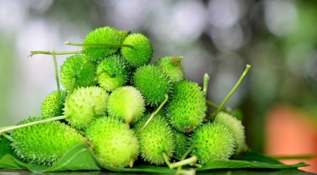 Kantola: Experience the Health Benefits This Monsoon Season