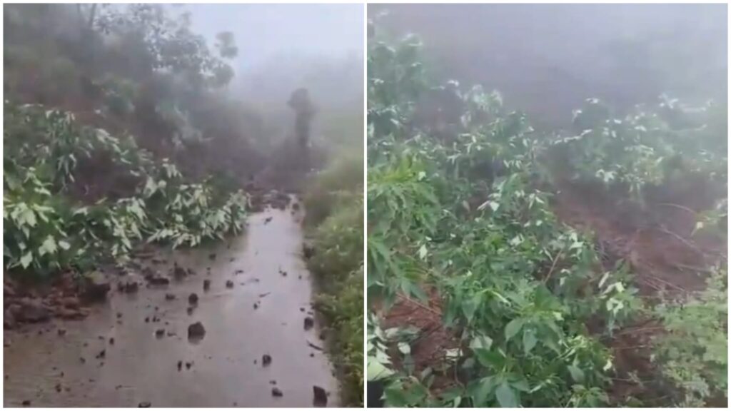 Heavy Rains Cause Havoc In Pune: Sinhagad Fort Closed 