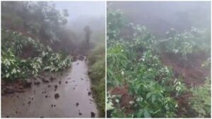Heavy Rains Cause Havoc In Pune: Sinhagad Fort Closed 