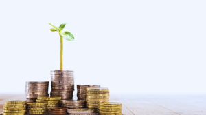 Budget 2024: Impact on Mutual Fund Investors - Higher Taxes, Strategic Shifts