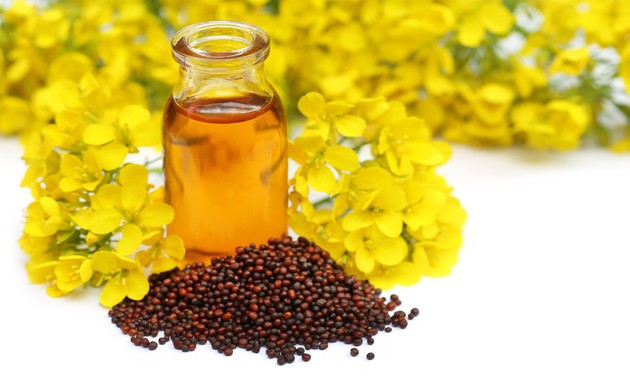 Experts at PAU Urge Shift to Mustard Oil for Better Health, Challenge Myths About Refined Oils