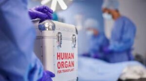 Pune 13-Year-Old Boy's vital organs donated, benefiting four patients across three hospitals