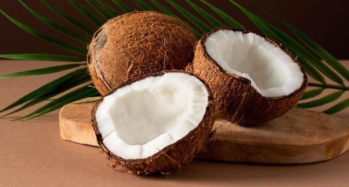 Travel Regulations Coconut Banned On Flights for Enhanced Safety
