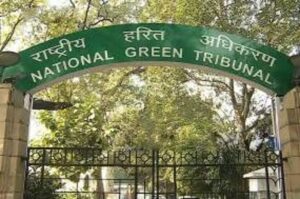 NGT Seeks Report On Encroached Forest Land In Pune, Directs District Collector To Clarify Status