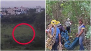 Pune: Leopard Spotted Near RIT College In Lohegaon