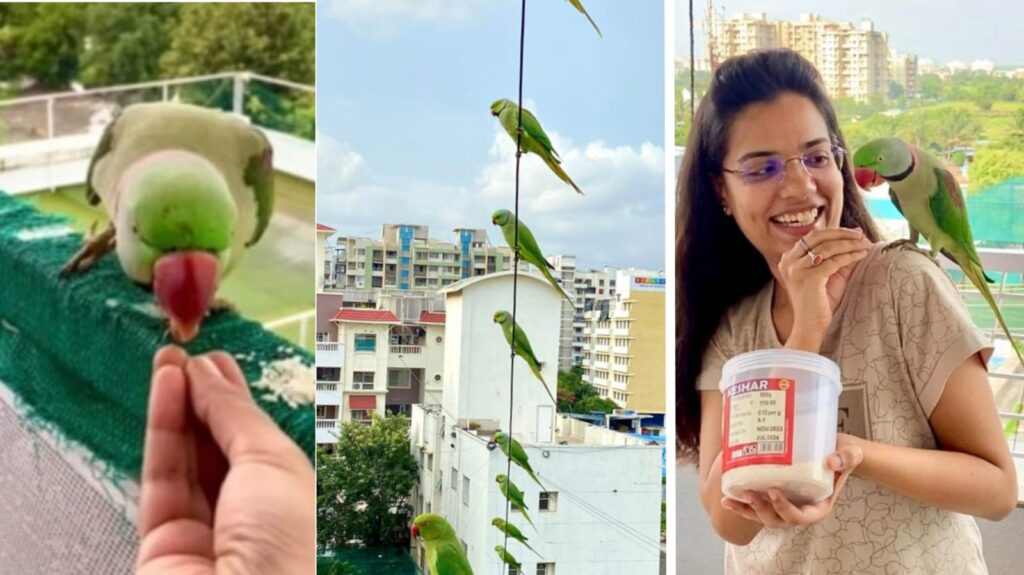 Pune: Rama Tiwari and Her Parrots: A Heartwarming Tale of Trust and Friendship