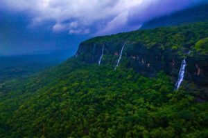 Pune: Bhimashankar closed for two months for tourists. Read more here. 