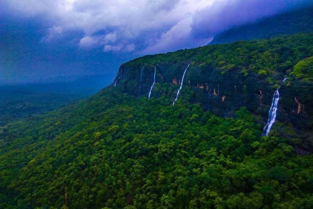 Pune: Bhimashankar closed for two months for tourists. Read more here.