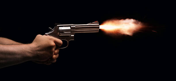 Pune: Fresh Trouble For Shashank Hagawane: Fake Address Used In Gun License Application