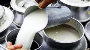 Pune: District Level Committee Set Up To Tackle Milk Adulteration; FDA Urges Citizens To Report Via Helpline