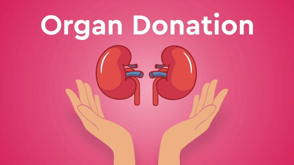 organ donation