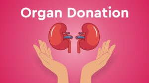 organ donation