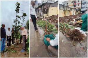 Pune: Balewadi Residents Unite to Replant Beloved Peepal TreeAugust 6, 2024 