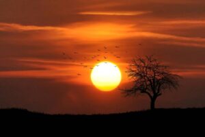 September Equinox 2024: Sun Crosses Equator Today, Marking Equal Hours of Day and Night