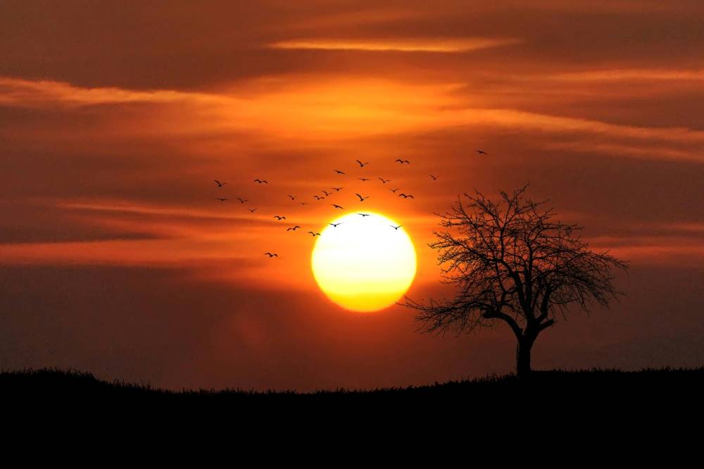 September Equinox 2024: Sun Crosses Equator Today, Marking Equal Hours of Day and Night