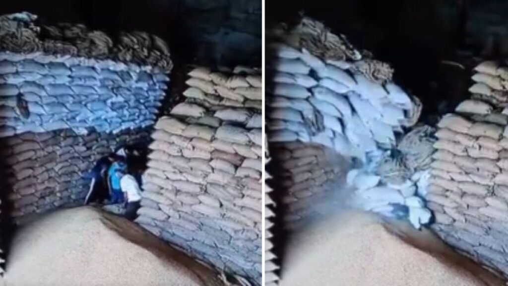 Caught on Camera: Wheat Sacks Collapse on 5 Labourers in Gujarat Warehouse, 1 Dead