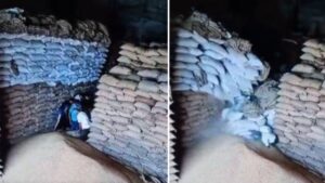 Caught on Camera: Wheat Sacks Collapse on 5 Labourers in Gujarat Warehouse, 1 Dead