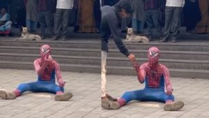 An Influencer Begs as Spiderman, Video Gains Viral Attention