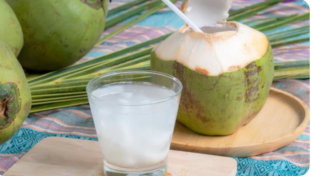 Today Marks World Coconut Day: Celebrating The Nutritional Powerhouse