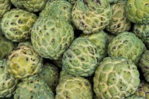 Pune News: Custard Apple Production Hits Roadblock In Valhe Area Of Purandar Taluka 