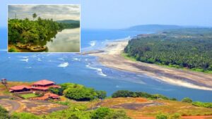 Konkan’s Ecotourism Boom Live Like the Locals and Experience the Velas Turtle Festival