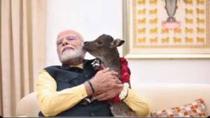 PM Narendra Modi Welcomes Calf 'Deepjyoti' To His Residence, Shares Heartwarming Moments