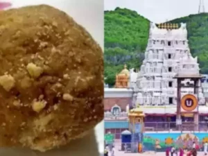 Tirupati Laddoo Controversy Has Minimal Impact On Sales, 14 Lakh Laddoos Sold in 4 days