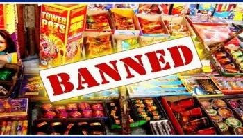 Complete Ban On Firecrackers In Delhi Until January 1, 2025 To Curb Pollution