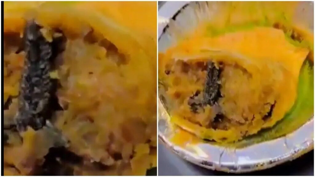 Frog leg found in samosa from Bikaner sweets in UP’s Ghaziabad; see video here
