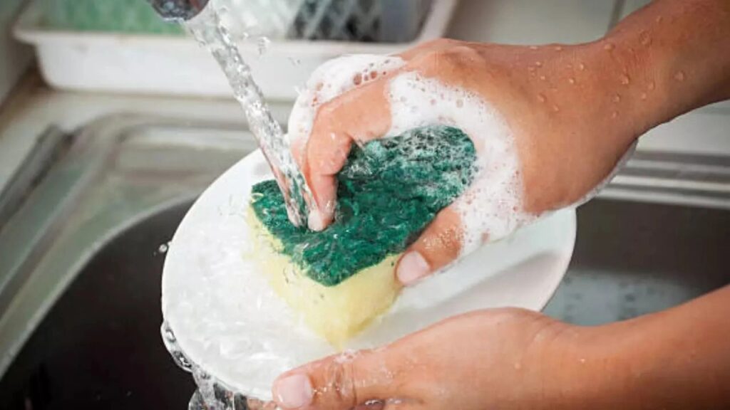 Could your kitchen sponge be making you sick? Discover the hidden risks