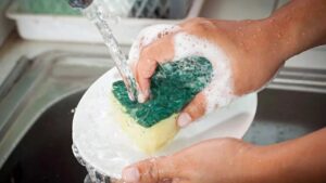 Could your kitchen sponge be making you sick? Discover the hidden risks