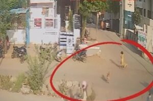 Pune News: Stray Dog Attack In Moshi: Minor Girl Injured, Citizens Demand Action