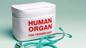 Pune: Young Doctor's Tragic Death in Accident Saves Three Lives Through Organ Donation